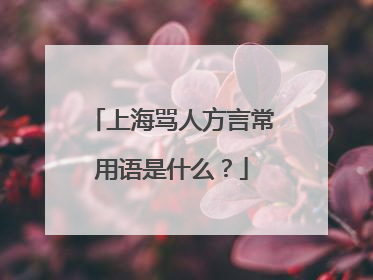 上海骂人方言常用语是什么？