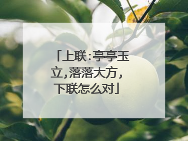 上联:亭亭玉立,落落大方,下联怎么对