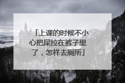 上课的时候不小心把屎拉在裤子里了，怎样去厕所