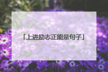 上进励志正能量句子