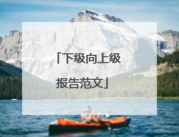下级向上级报告范文