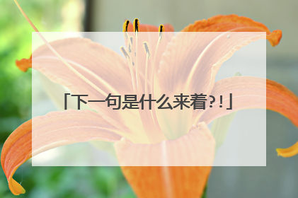 下一句是什么来着?!