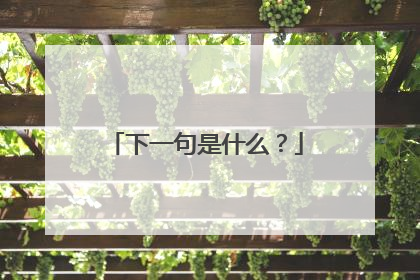 下一句是什么?