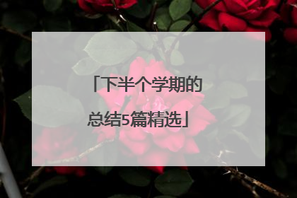 下半个学期的总结5篇精选