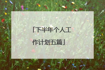 下半年个人工作计划五篇