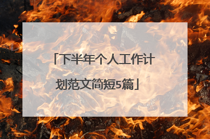 下半年个人工作计划范文简短5篇