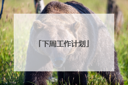 下周工作计划