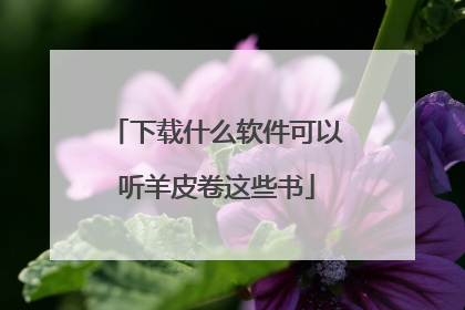 下载什么软件可以听羊皮卷这些书