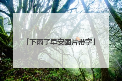下雨了早安图片带字