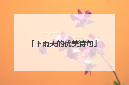 下雨天的优美诗句