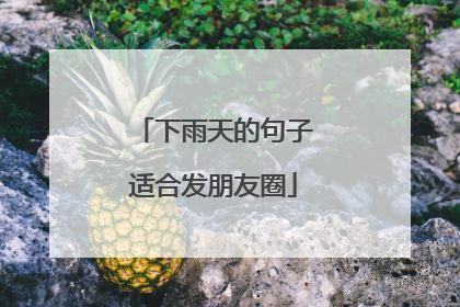 下雨天的句子适合发朋友圈