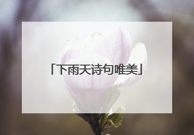 下雨天诗句唯美