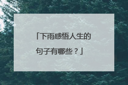 下雨感悟人生的句子有哪些?