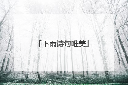 下雨诗句唯美