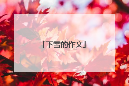 下雪的作文