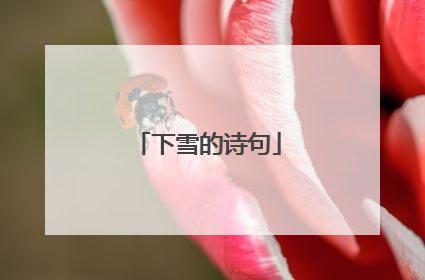 下雪的诗句