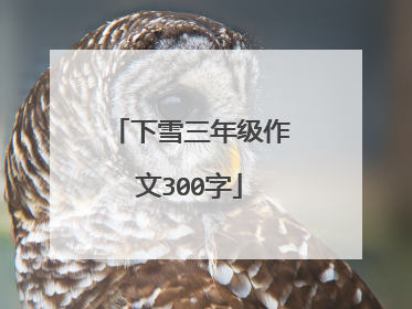 下雪三年级作文300字