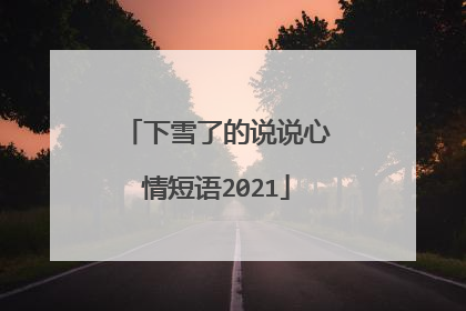 下雪了的说说心情短语2021