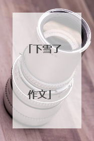 下雪了作文