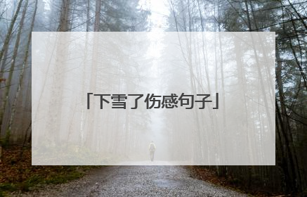 下雪了伤感句子