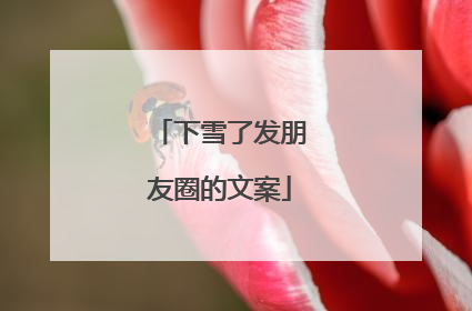 下雪了发朋友圈的文案