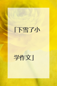 下雪了小学作文
