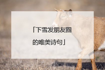 下雪发朋友圈的唯美诗句