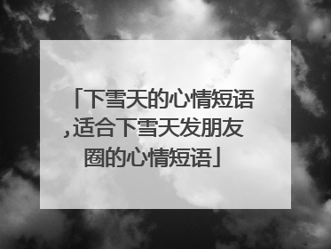 下雪天的心情短语,适合下雪天发朋友圈的心情短语