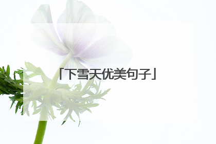 下雪天优美句子