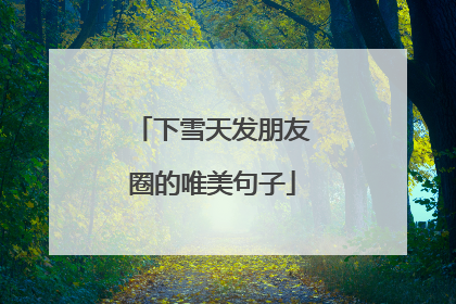 下雪天发朋友圈的唯美句子