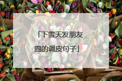 下雪天发朋友圈的调皮句子