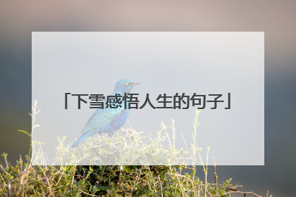 下雪感悟人生的句子