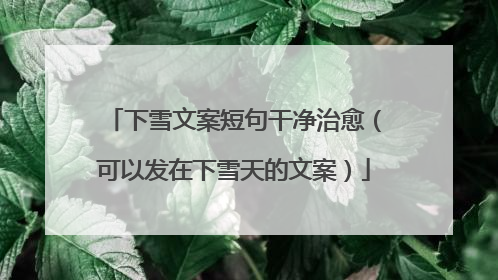 下雪文案短句干净治愈（可以发在下雪天的文案）