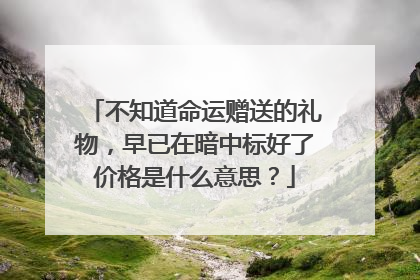 不知道命运赠送的礼物,早已在暗中标好了价格是什么意思?