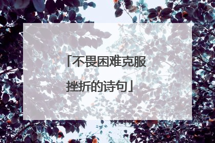 不畏困难克服挫折的诗句