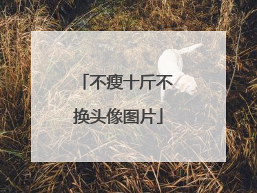 不瘦十斤不换头像图片