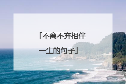 不离不弃相伴一生的句子