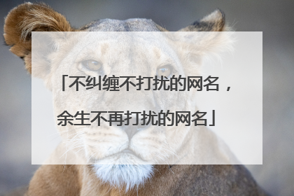 不纠缠不打扰的网名，余生不再打扰的网名