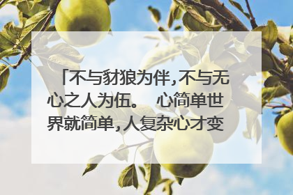 不与豺狼为伴,不与无心之人为伍。 心简单世界就简单,人复杂心才变得繁琐!意思？
