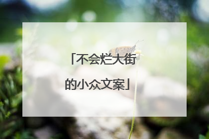 不会烂大街的小众文案