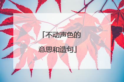 不动声色的意思和造句