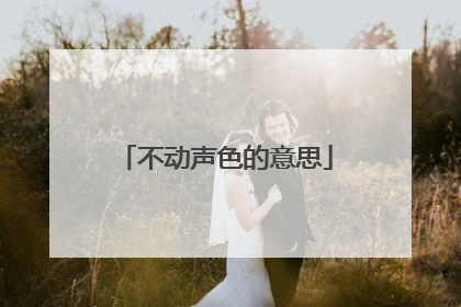 不动声色的意思