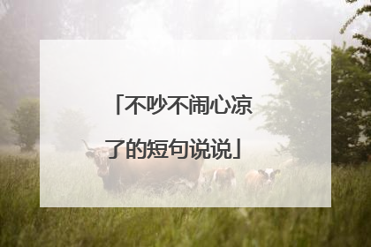 不吵不闹心凉了的短句说说