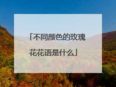 不同颜色的玫瑰花花语是什么