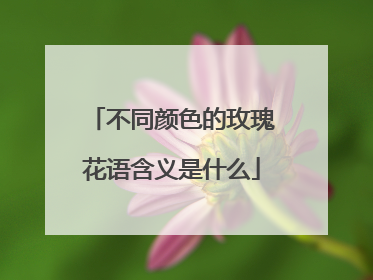 不同颜色的玫瑰花语含义是什么