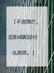 不啻微芒,造炬成阳是什么意思。