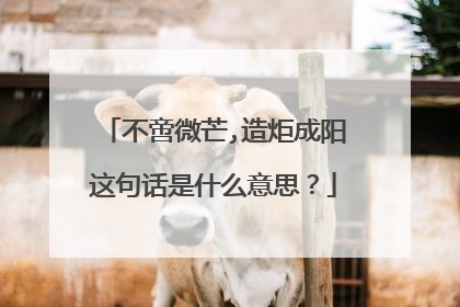 不啻微芒,造炬成阳这句话是什么意思?