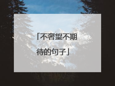 不奢望不期待的句子