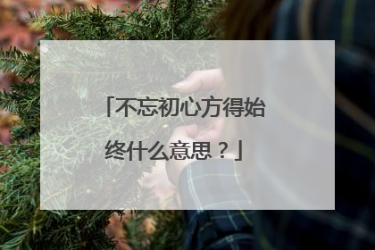 不忘初心方得始终什么意思？