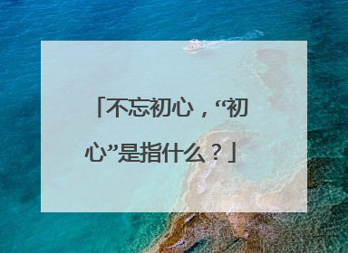 不忘初心,“初心”是指什么?
